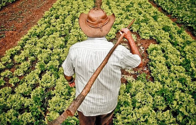 Capa da Notícia