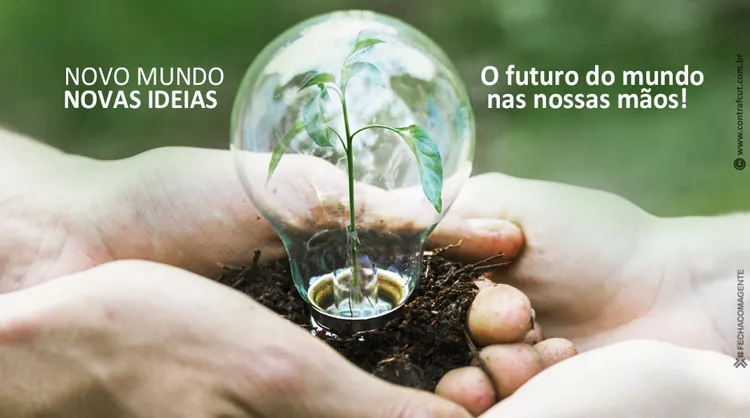 Capa da Notícia
