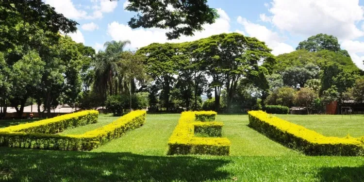 Professores da UEL aprovam paralisação e indicativo de greve diante de defasagem salarial de 52%