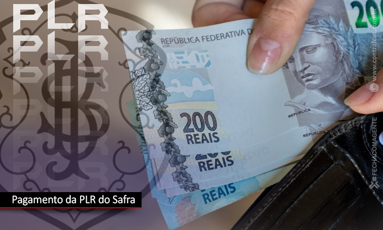 Capa da Notícia