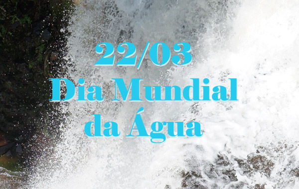 Capa da Notícia