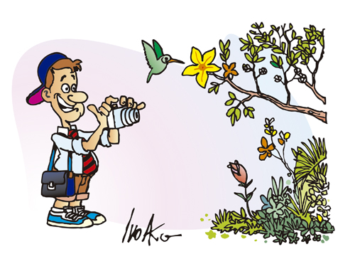 Capa da Notícia
