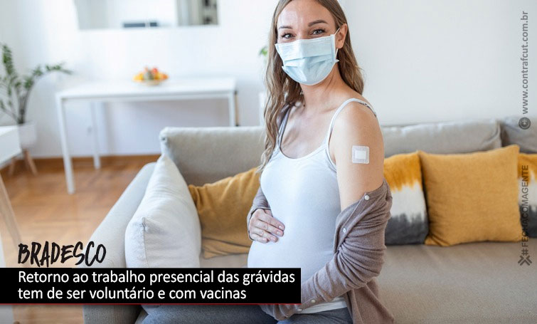 Capa da Notícia