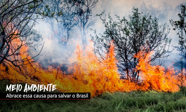 Capa da Notícia